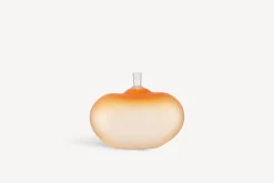 Beans orange BV AC-20