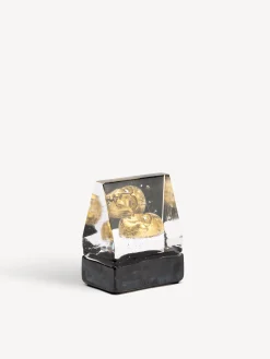 Black elements House of mystery guld BV AC-23