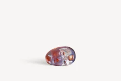 Brains I see you BV AC-21